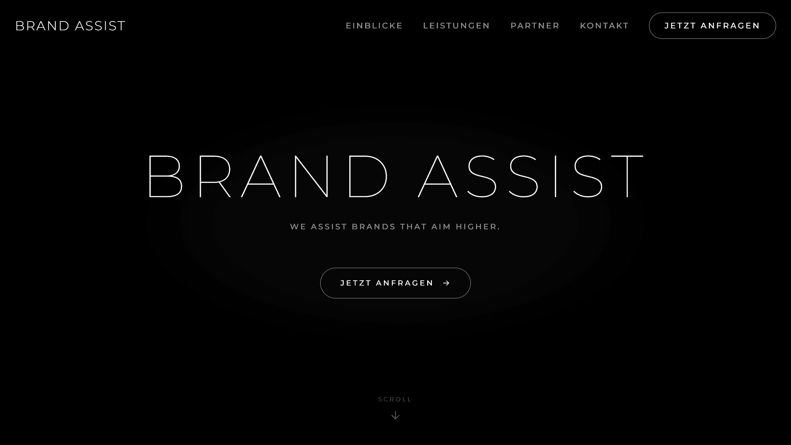 Screenshot der Brand Assist Website